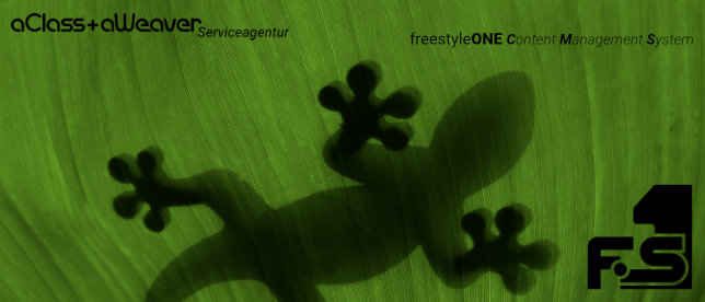 www.freestyleone.de